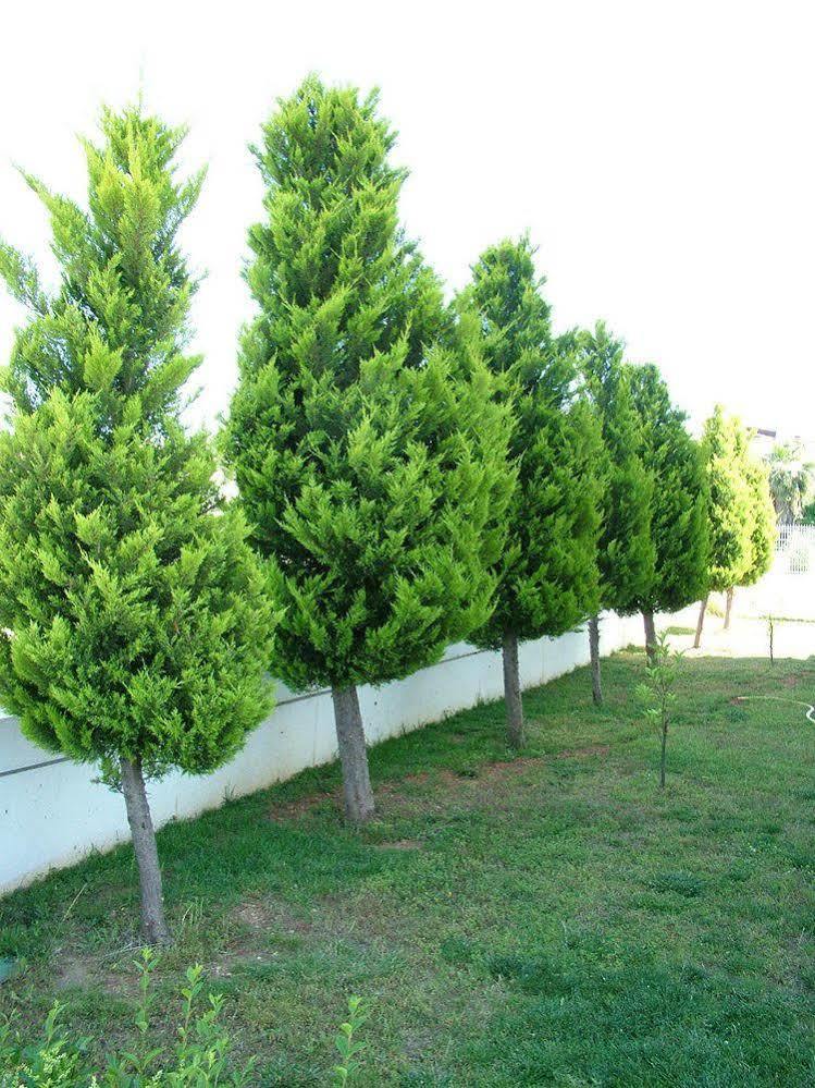 Belek Golf Apartments Exterior foto